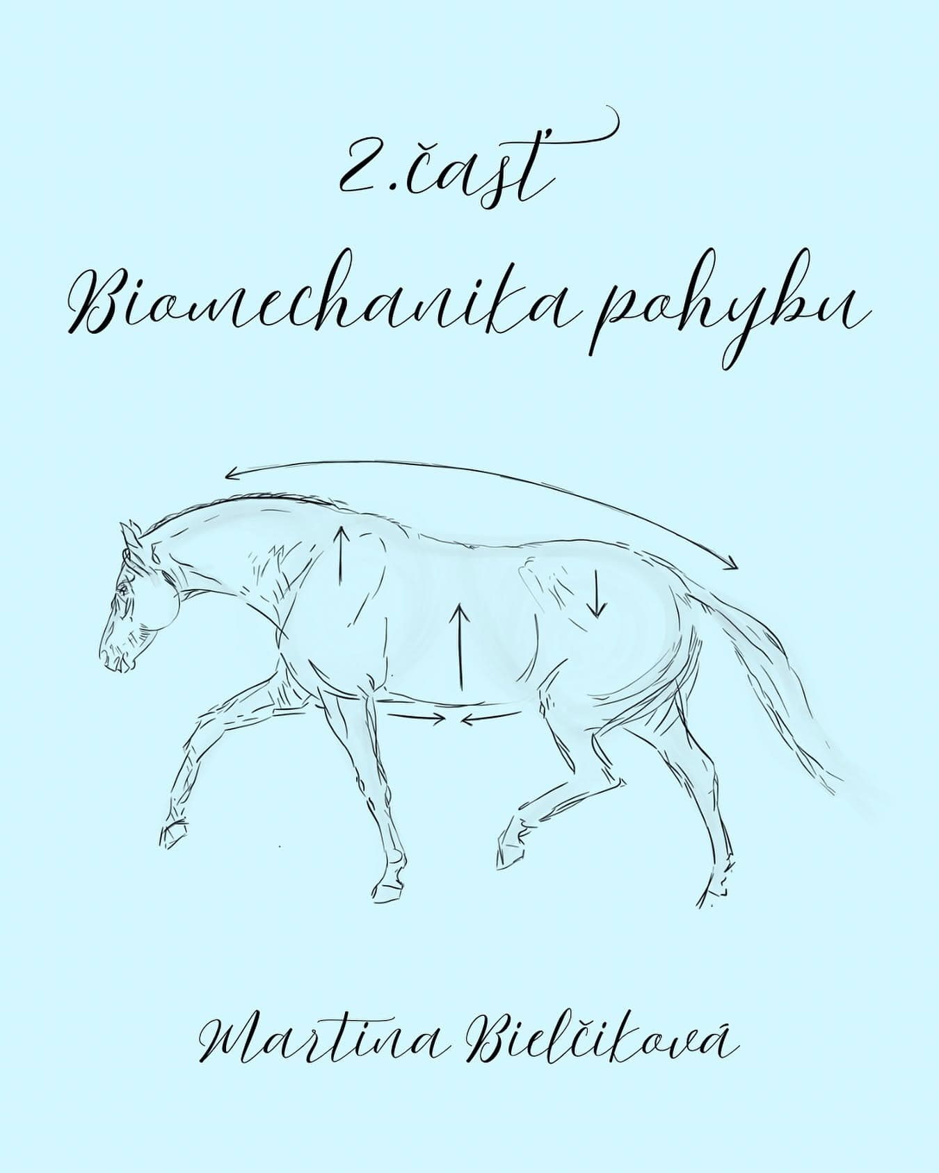 Biomechanika pohybu – 2. časť