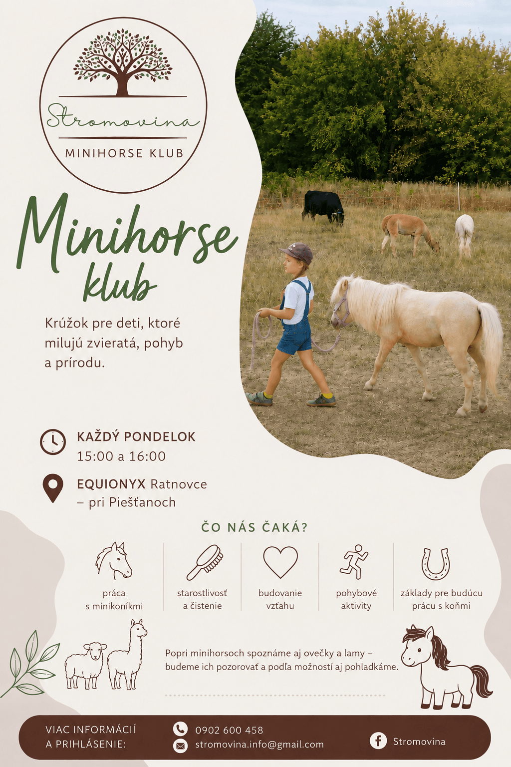 Plagát: Minihorse Klub s Dominikou